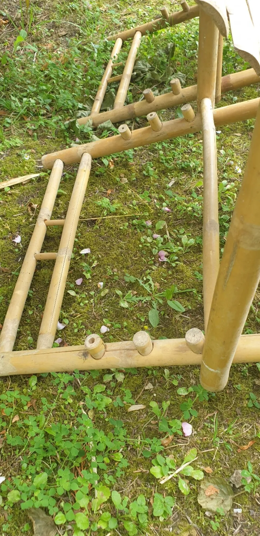 Paire de chaises longues en bambou, transats