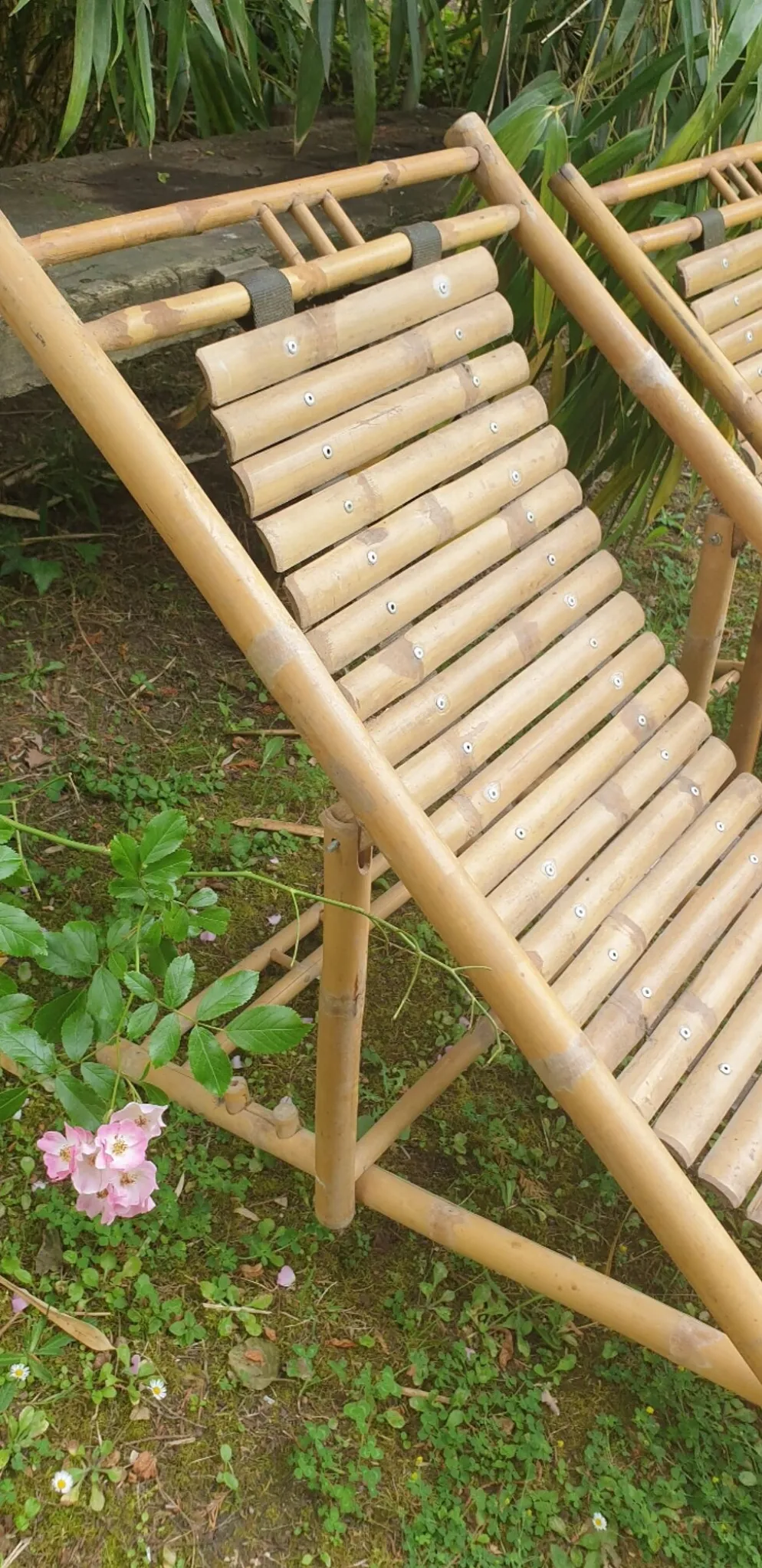 Paire de chaises longues en bambou, transats