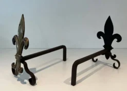 Paire de chenets en bronze et fer forgé fleur de lys, France