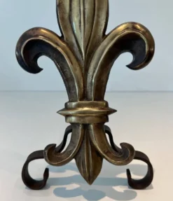 Paire de chenets en bronze et fer forgé fleur de lys, France