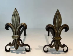 Paire de chenets en bronze et fer forgé fleur de lys, France