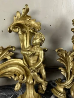 Paire de chenêts en bronze ciselé et doré d'après un modèle de Jacques Caffieri, Paris XIXème