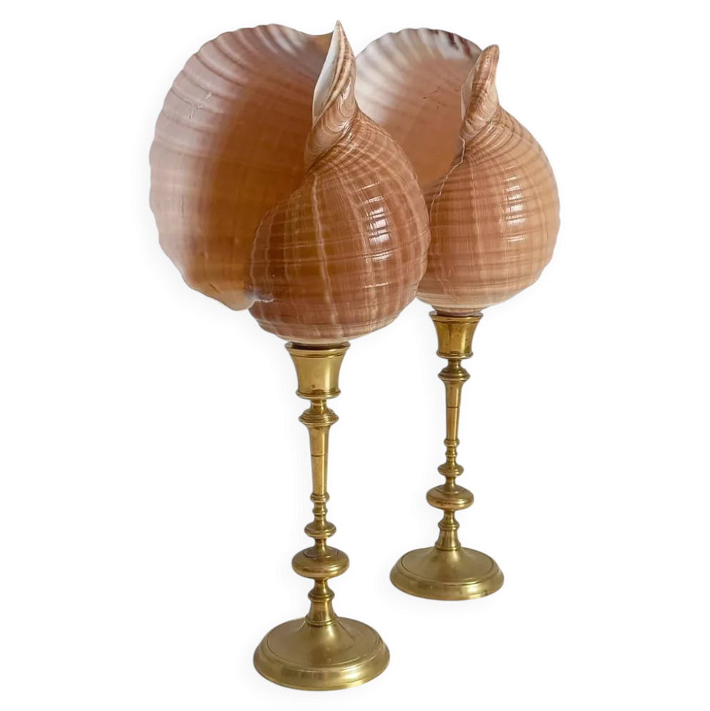 Paire de coquillages naturels sur un candélabre en laiton Skultuna du milieu du siècle suédois.