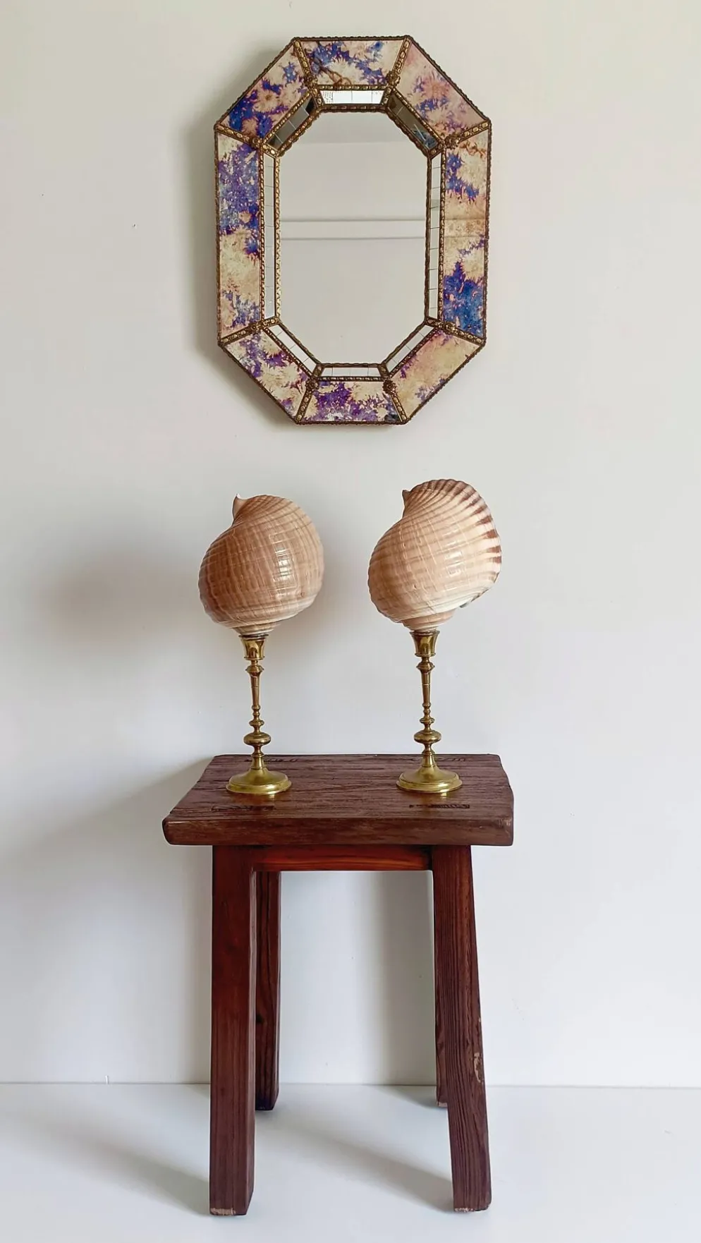 Paire de coquillages naturels sur un candélabre en laiton Skultuna du milieu du siècle suédois.