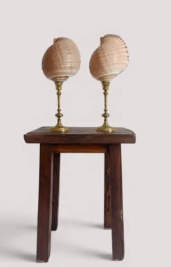 Paire de coquillages naturels sur un candélabre en laiton Skultuna du milieu du siècle suédois.
