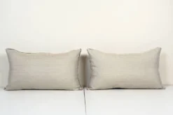 Paire de coussins ikat