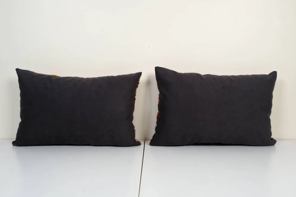 Paire de coussins Ikat