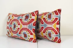 Paire de coussins Ikat