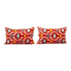 Paire de coussins Ikat