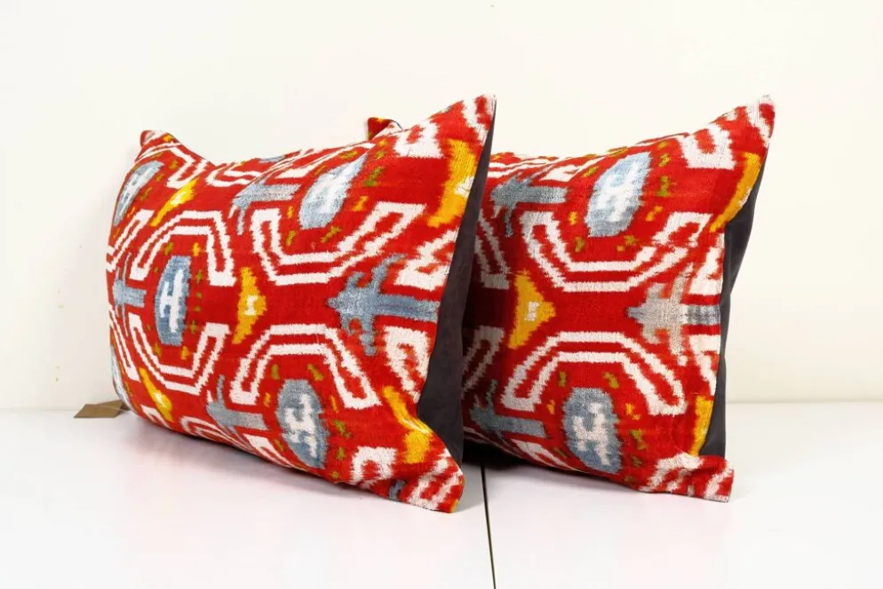 Paire de coussins Ikat