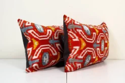 Paire de coussins Ikat