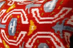 Paire de coussins Ikat