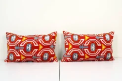 Paire de coussins Ikat