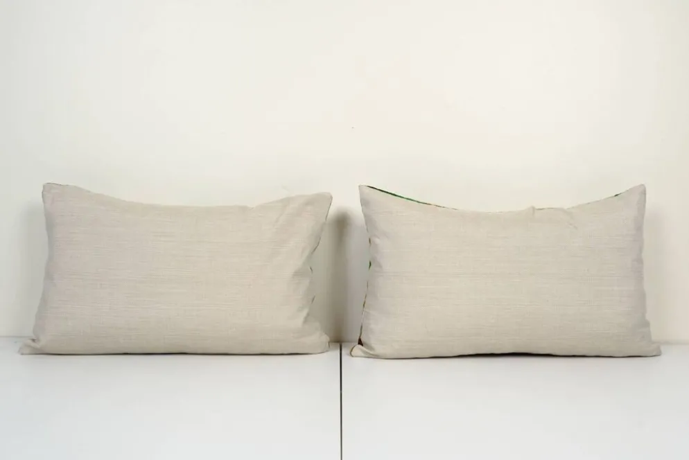 Paire de coussins Ikat