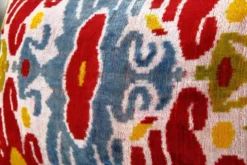 Paire de coussins Ikat
