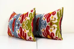 Paire de coussins Ikat