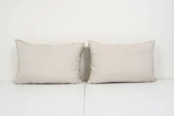 Paire de coussins Ikat tigres