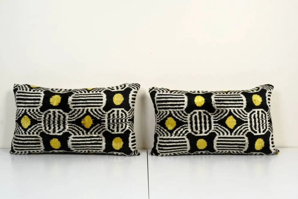 Paire de coussins soie et velours Ikat