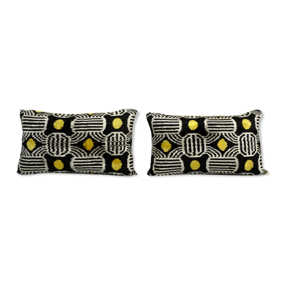 Paire de coussins soie et velours Ikat
