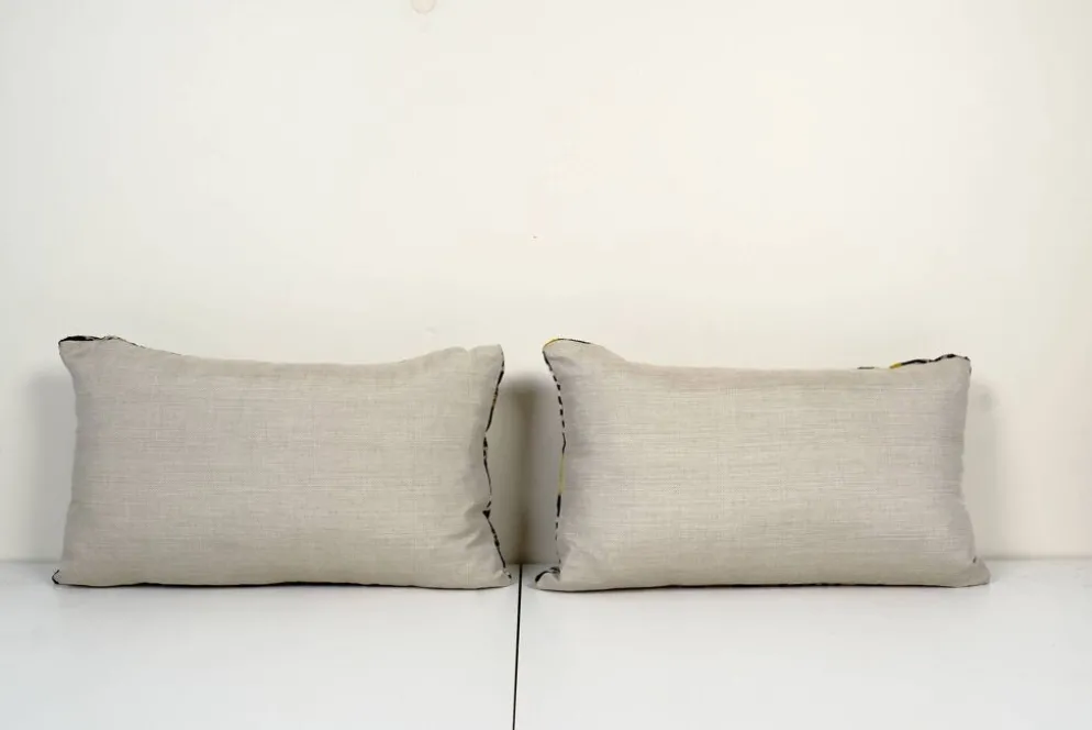 Paire de coussins soie et velours Ikat