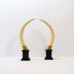 Paire de fausses défenses d'éléphant - 20ème siècle H:82cm