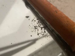 Paire de miroirs en bois, années 40