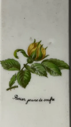 Paire de plaques de propreté porcelaine de Paris