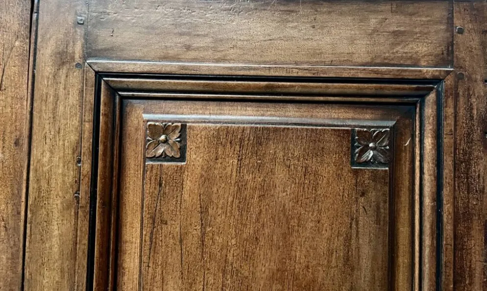 Paire de portes a deux panneaux en noyer massif XVIII siècle