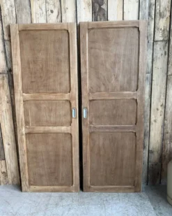 Paire de portes d’armoire