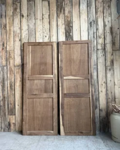 Paire de portes d’armoire