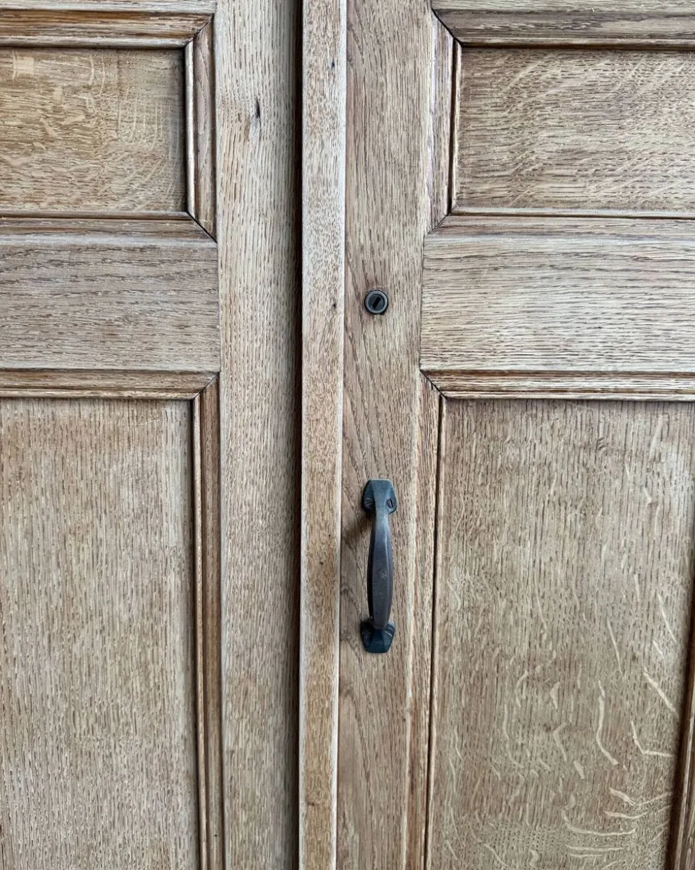 Paire de portes d’armoire en chêne