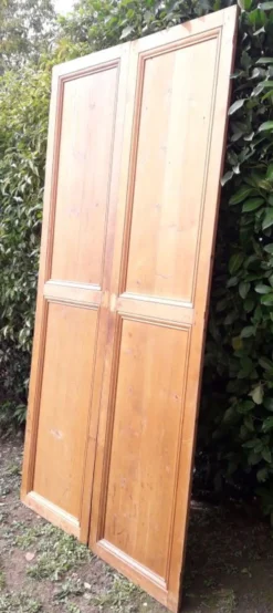Paire de portes 248x129cm anciennes