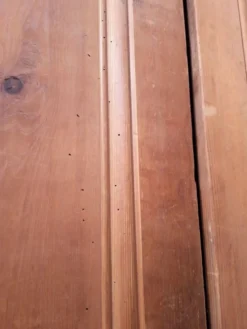Paire de portes 248x129cm anciennes