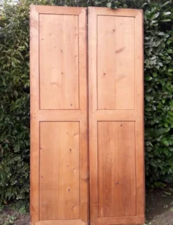 Paire de portes 248x129cm anciennes