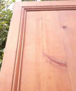 Paire de portes 248x129cm anciennes