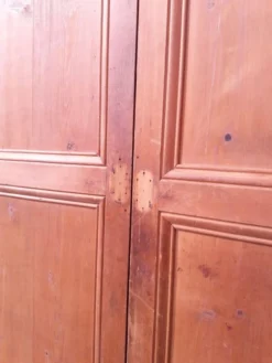 Paire de portes 248x129cm anciennes