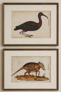 Paire de reproductions du Codex Pomar d'Histoire Naturelle, Valence, 1990