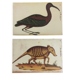 Paire de reproductions du Codex Pomar d'Histoire Naturelle, Valence, 1990