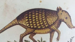 Paire de reproductions du Codex Pomar d'Histoire Naturelle, Valence, 1990