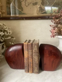 Paire de serre-livres en bois exotique vintage