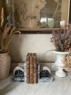 Paire de serre-livres en marbre Art déco