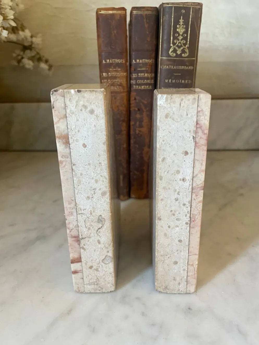 Paire de serre-livres en marbre