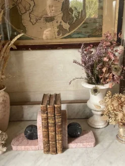 Paire de serre-livres livres en marbre rose et gris