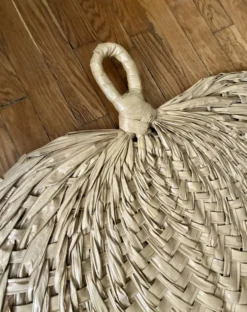 Palme éventail XL
