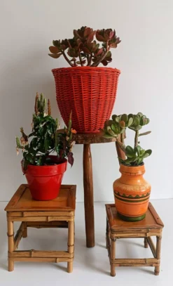Panier en osier corail rouge bohème des années 1960, France.