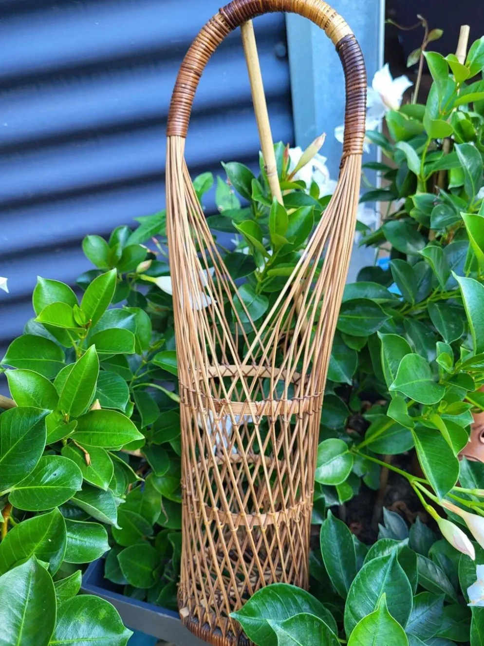 Panier à fleurs japonais osier tressé • Style Suruga Sensuji