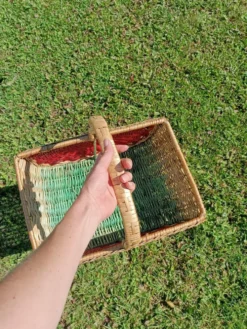 Panier pastèque rétro