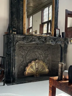 Pare-feu français vintage en laiton, motif paon, XXe siècle
