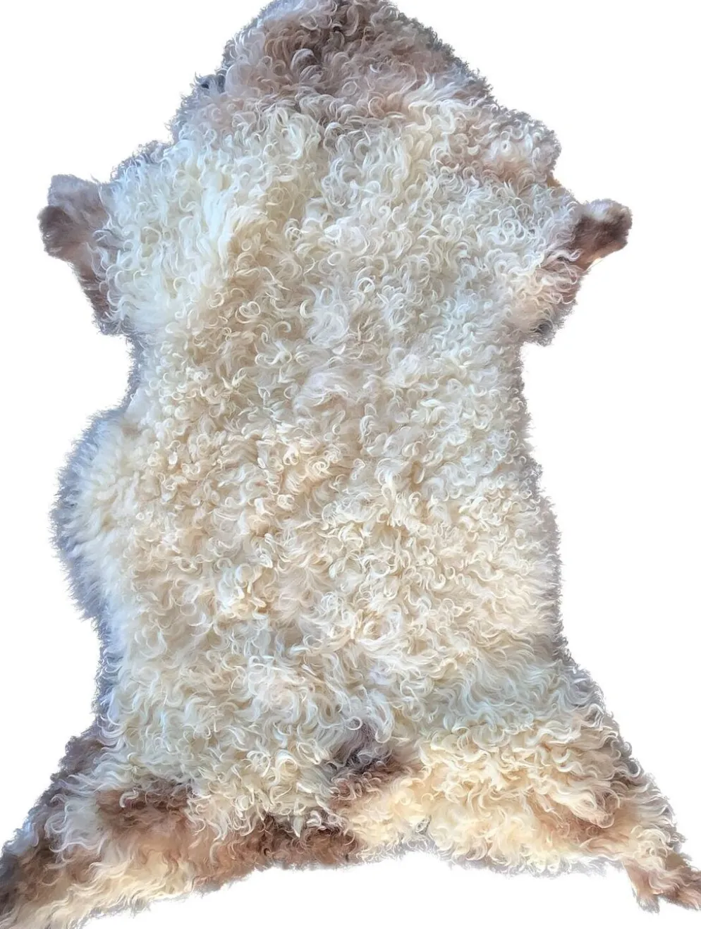 Peau Agneau du Béarn Neuve