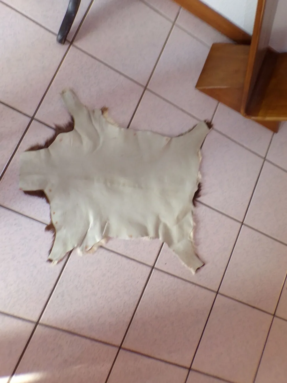 Peau de chevreau naturelle 65x53